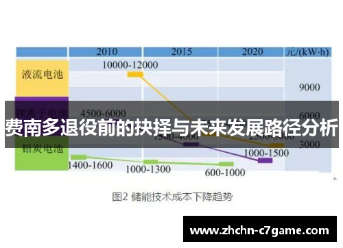 费南多退役前的抉择与未来发展路径分析 费南多退役前的抉择与未来发展路径分析