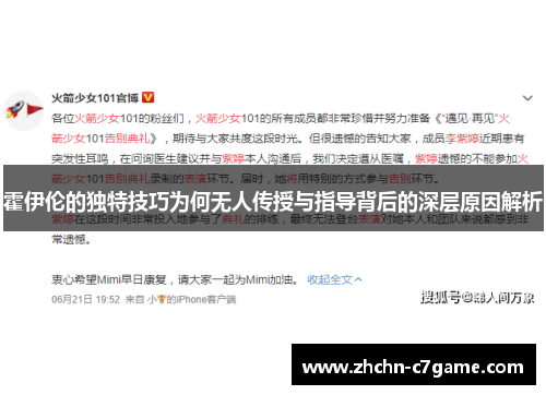 霍伊伦的独特技巧为何无人传授与指导背后的深层原因解析